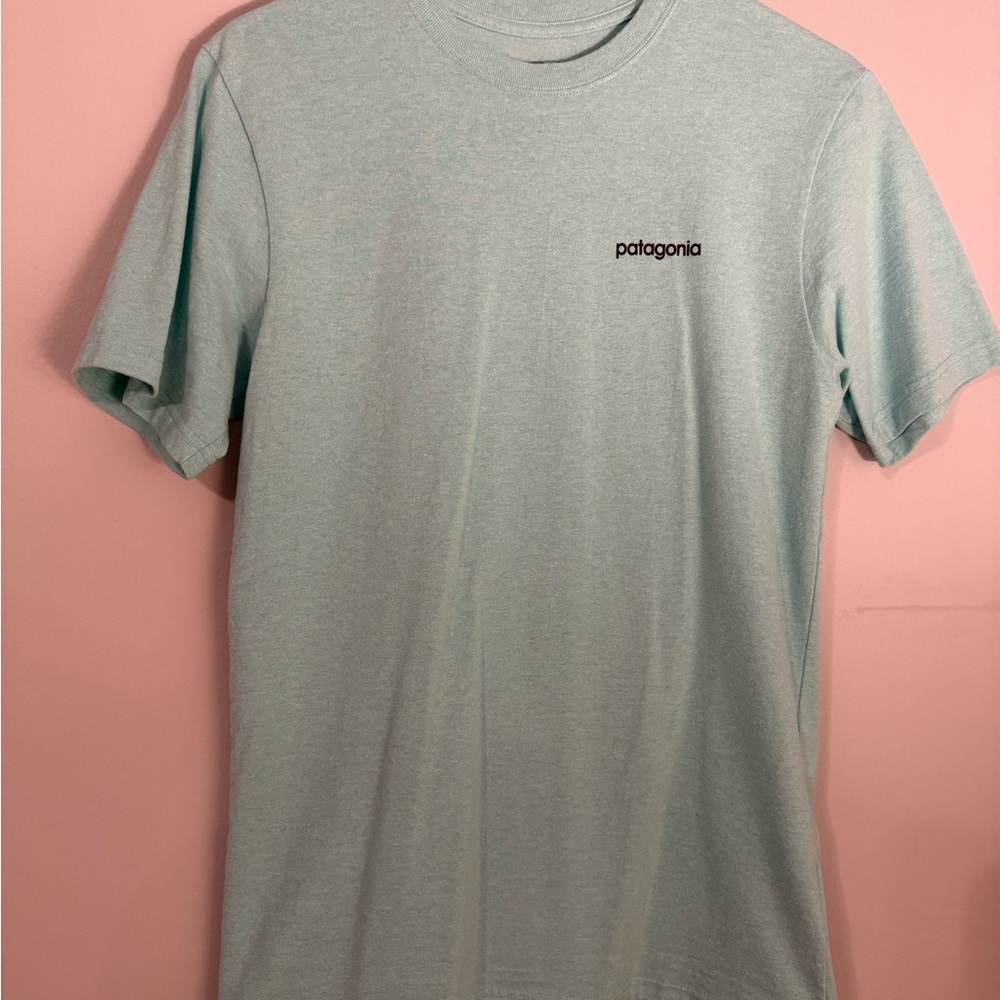 Patagonia Men's Sky Blue Short Sleeve Tee
